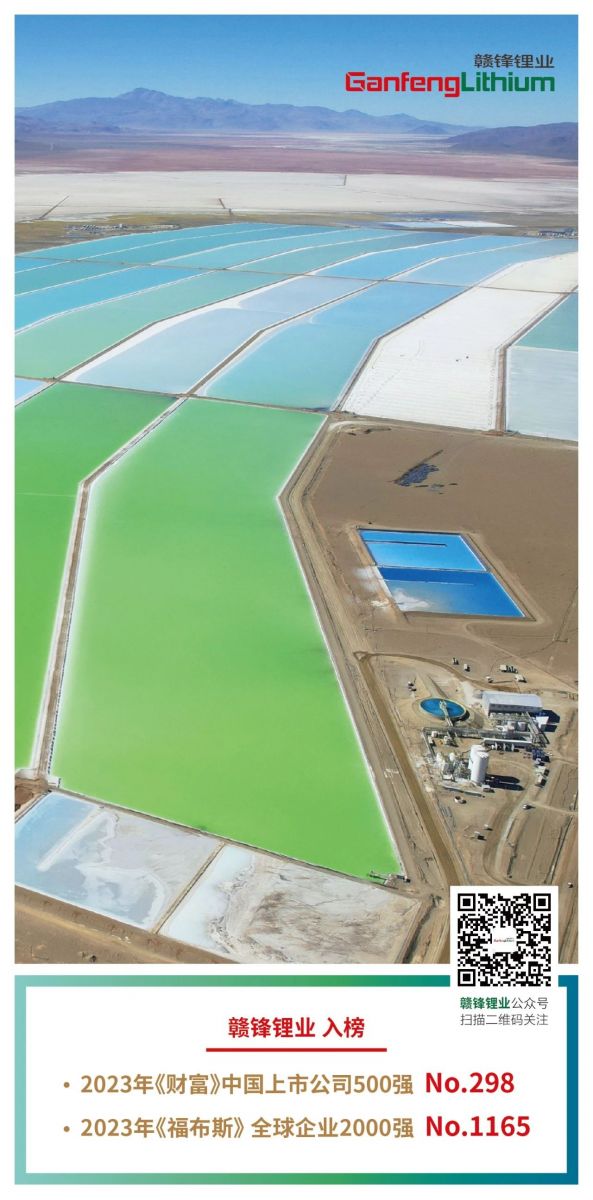 BG大游集团(中国)唯一官方网站