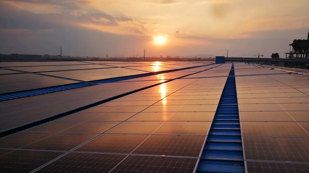 BG大游集团(中国)唯一官方网站