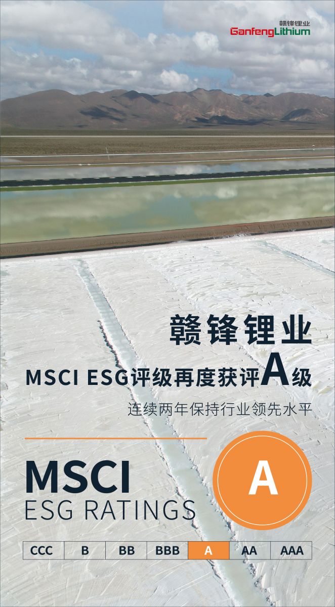 BG大游集团(中国)唯一官方网站