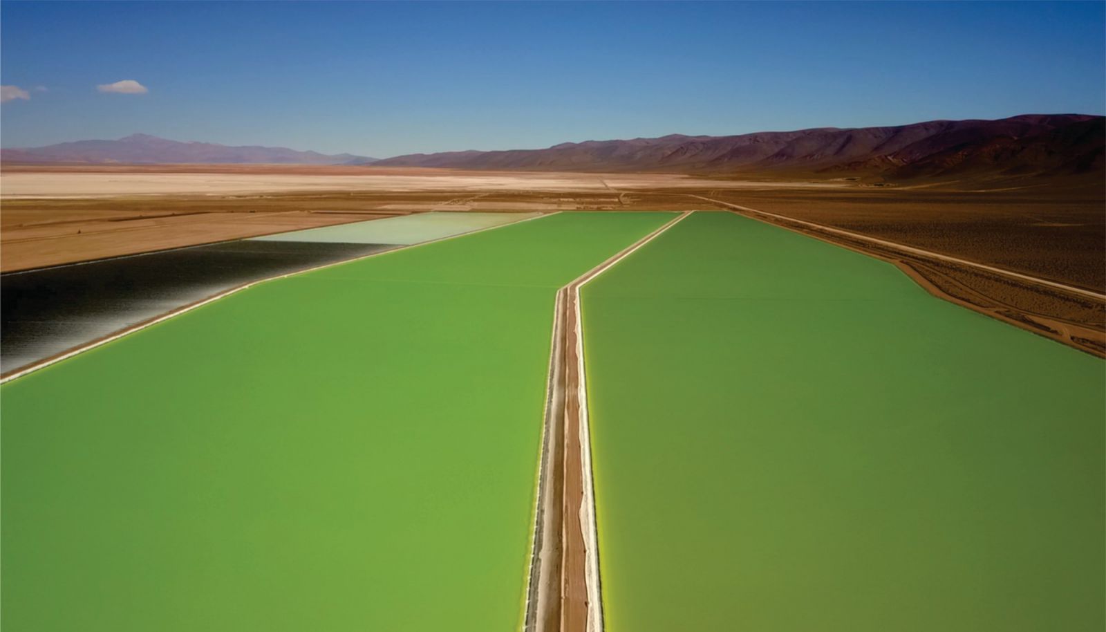 BG大游集团(中国)唯一官方网站