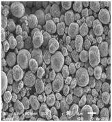 BG大游集团(中国)唯一官方网站
