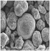 BG大游集团(中国)唯一官方网站