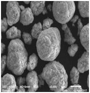BG大游集团(中国)唯一官方网站