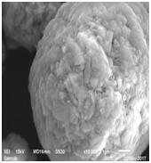BG大游集团(中国)唯一官方网站