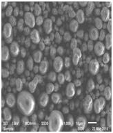 BG大游集团(中国)唯一官方网站