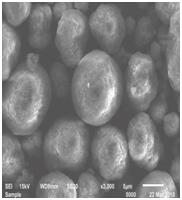 BG大游集团(中国)唯一官方网站