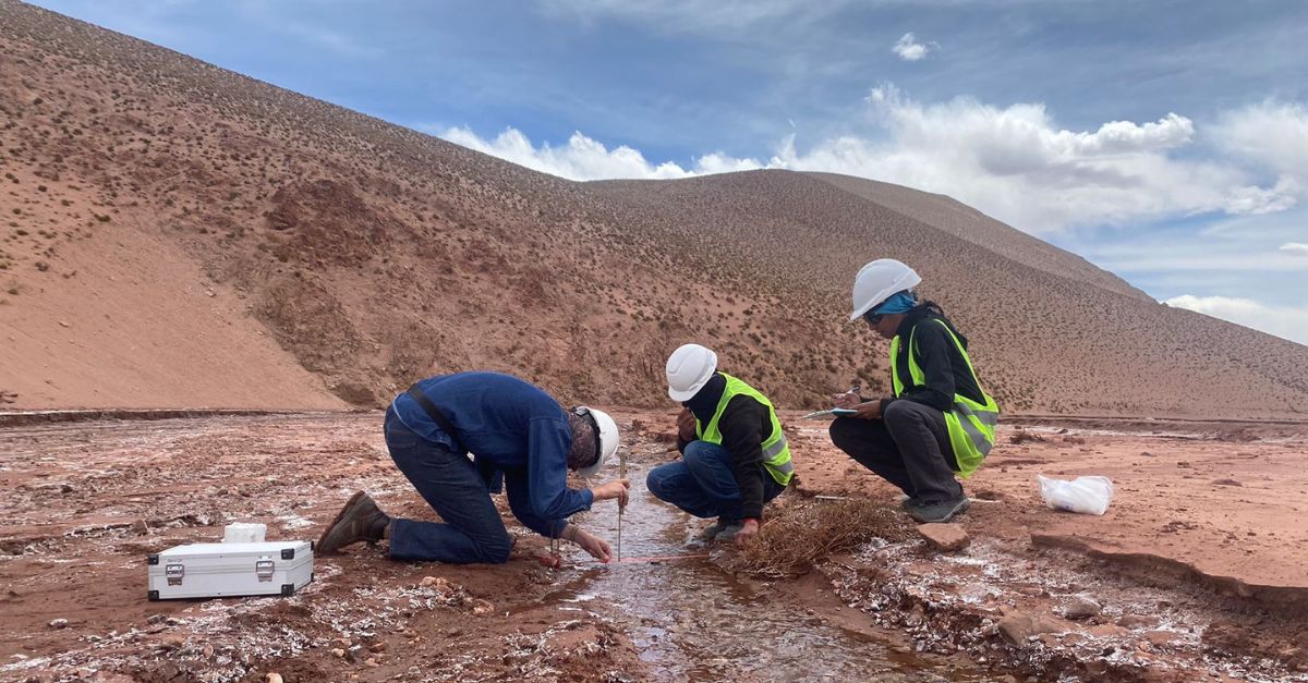 BG大游集团(中国)唯一官方网站