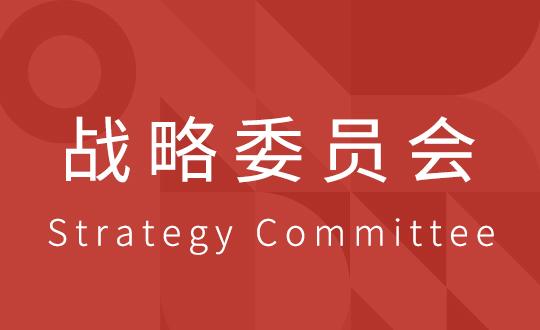 战术委员会