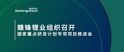 BG大游集团锂业组织召建国度沉点研发打算专项项目锂产业集聚区循环化升级集成技术及示范推动会