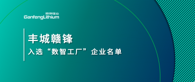 丰城BG大游集团入选江西省2025年首批“数智工厂”示范企业